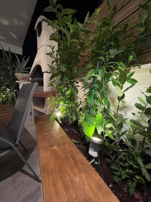 Acropolis Lux Apartment Athene Buitenkant foto